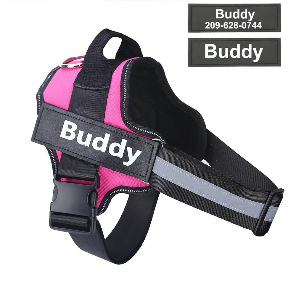 Adjustable Personalized Dog Harness Available For Dropshipping Worldwide Supply