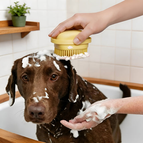 PawFoam Glove No-Rinse Pet Paw Cleaning Glove For Dogs Cats