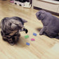 Spiral Spring Cat Toy Set