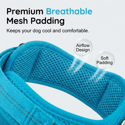 Easy On Off Padded Comfort Dog Harness For Daily Outdoor Walking