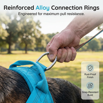 Easy On Off Padded Comfort Dog Harness For Daily Outdoor Walking