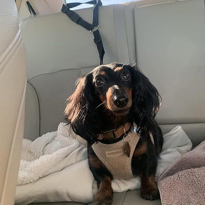 2-in-1 Dog Car Seat Belt And Outdoor Walking Leash For Pet Safety
