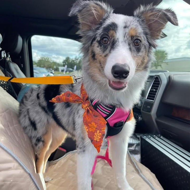 2-in-1 Dog Car Seat Belt And Outdoor Walking Leash For Pet Safety