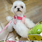 Strawberry Lace Harness Leash Set Vest