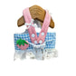 Strawberry Lace Harness Leash Set Vest