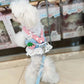 Strawberry Lace Harness Leash Set Vest