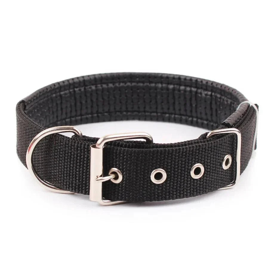 Strong Nylon Dog Collar