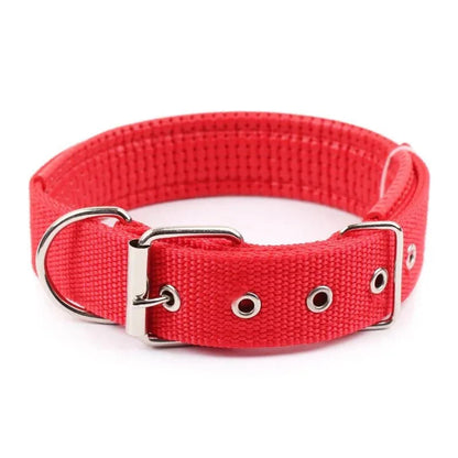 Strong Nylon Dog Collar