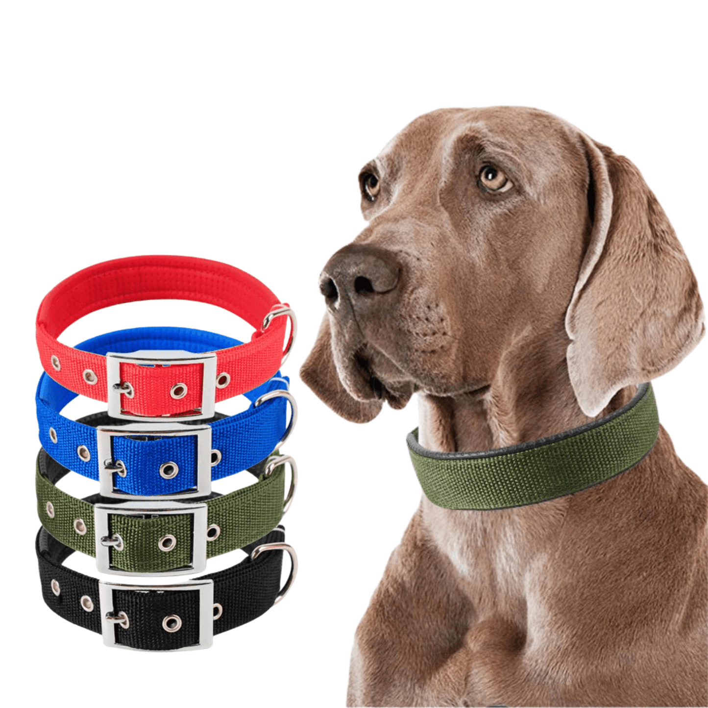 Strong Nylon Dog Collar