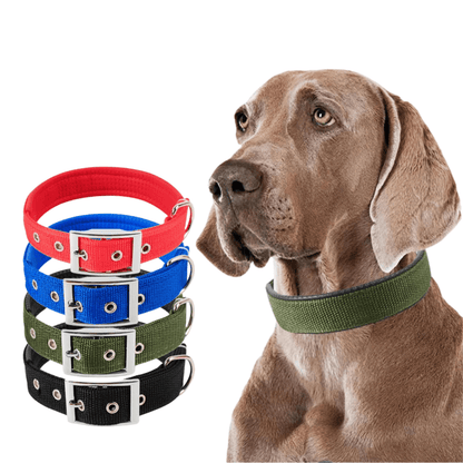 Strong Nylon Dog Collar