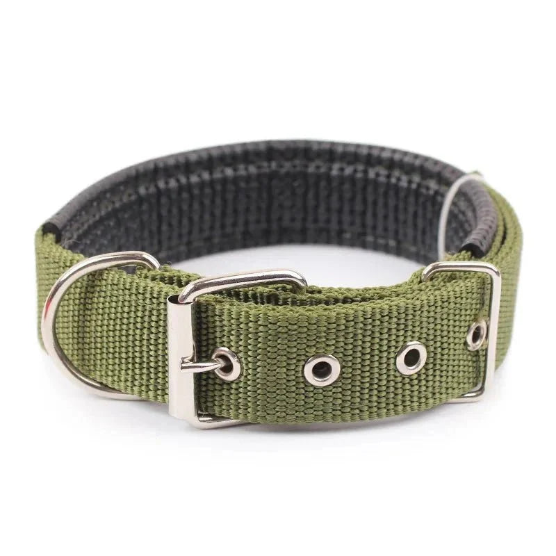 Strong Nylon Dog Collar