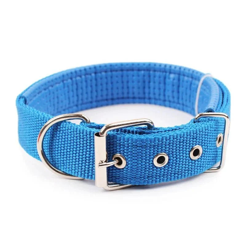 Strong Nylon Dog Collar