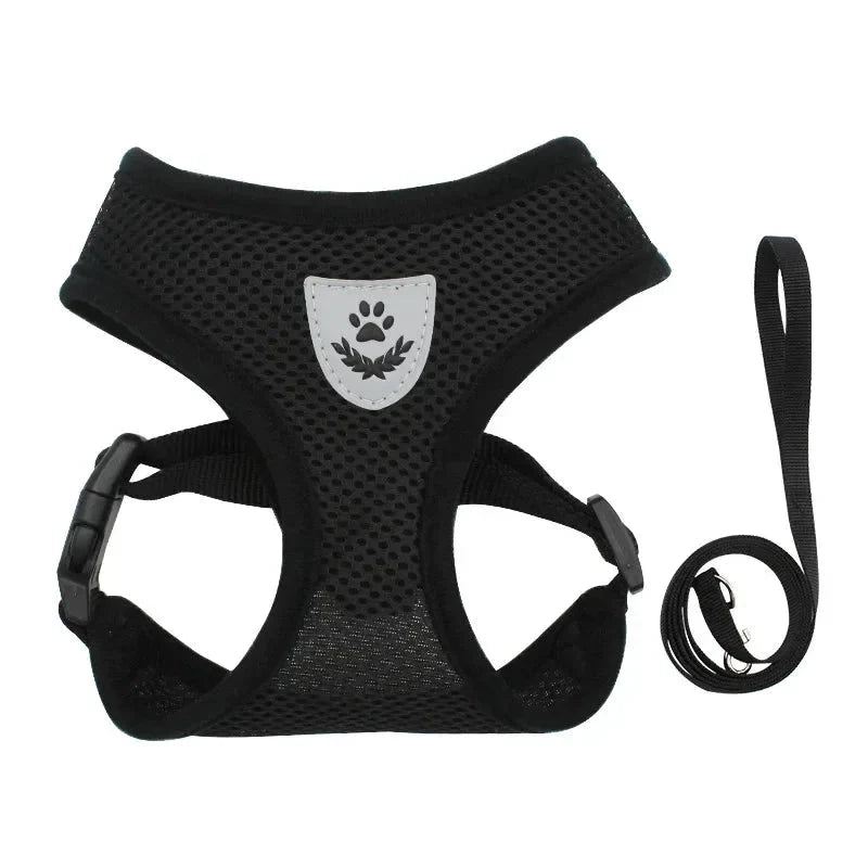 Summer Dog & Cat Harness Set