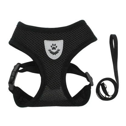 Summer Dog & Cat Harness Set