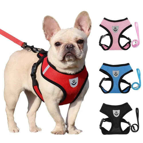 Summer Dog & Cat Harness Set