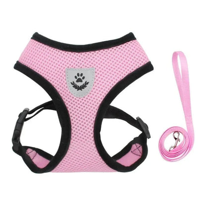 Summer Dog & Cat Harness Set