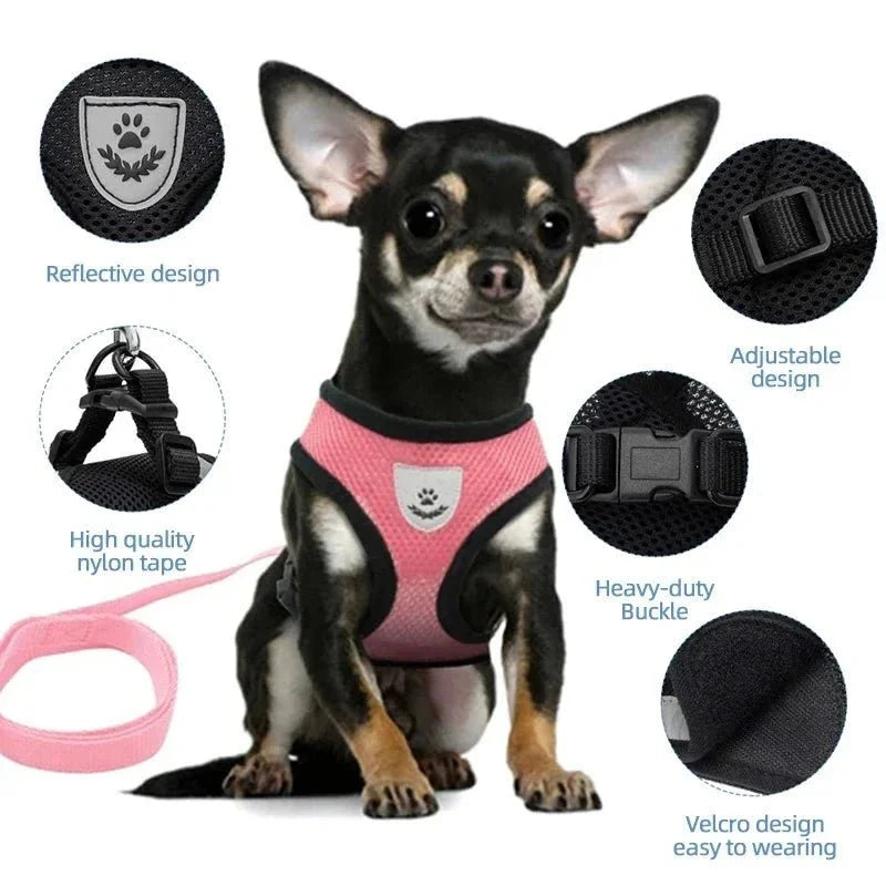 Summer Dog & Cat Harness Set
