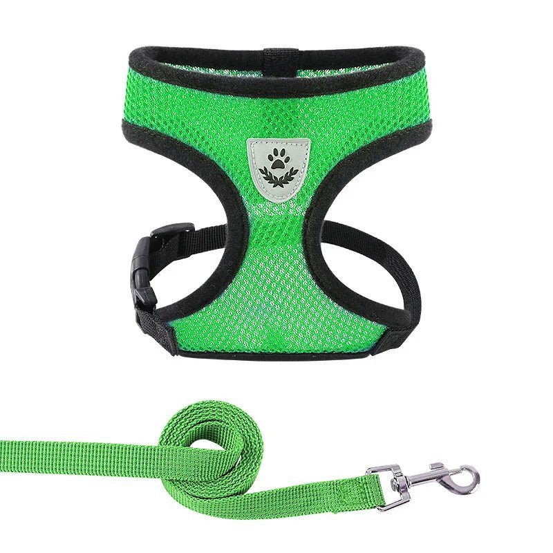 Summer Dog & Cat Harness Set