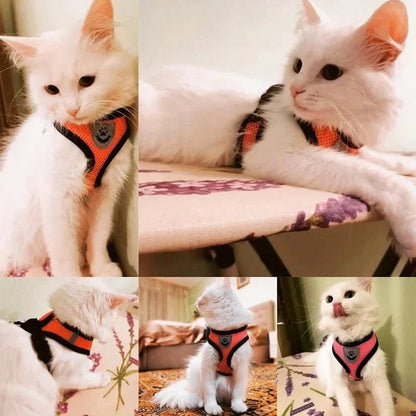 Summer Dog & Cat Harness Set