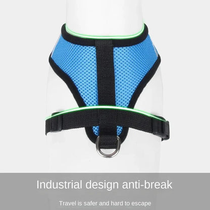 Summer Dog & Cat Harness Set