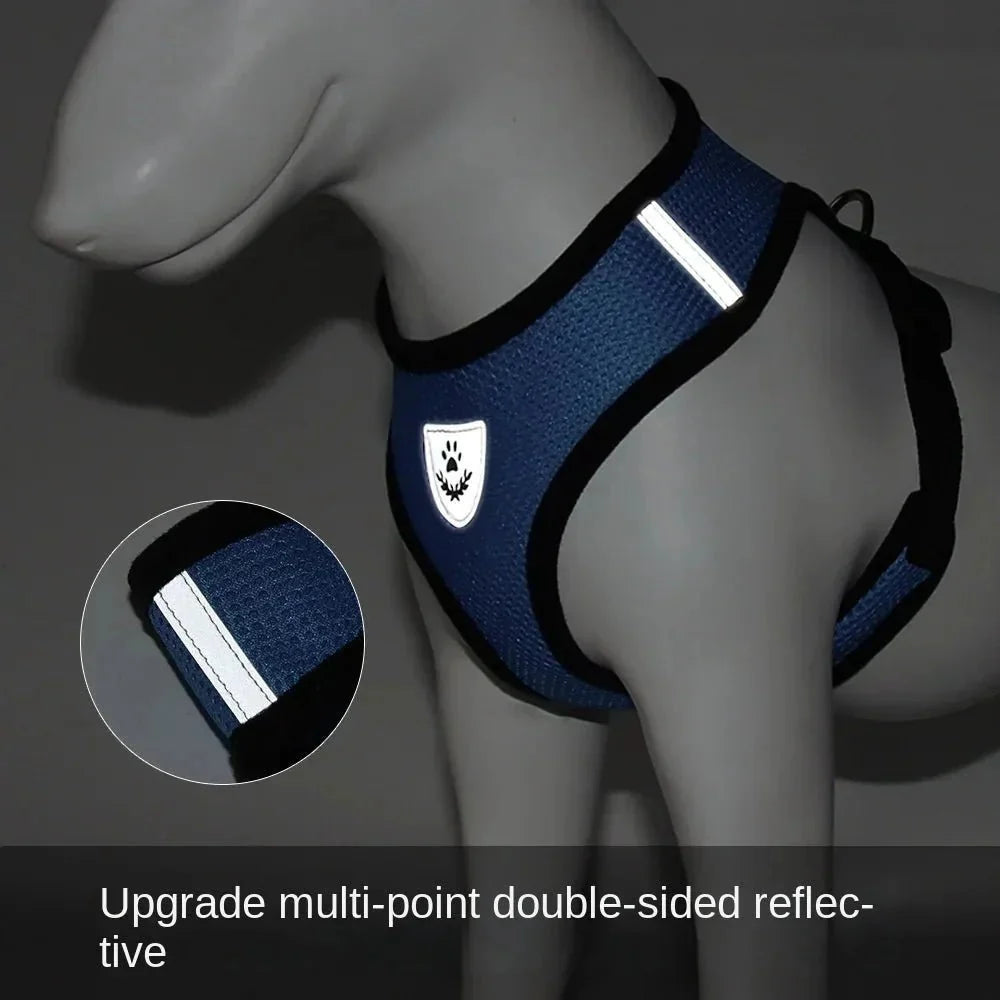Summer Dog & Cat Harness Set