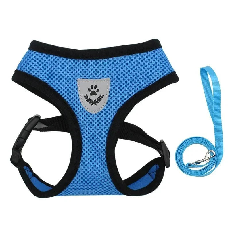 Summer Dog & Cat Harness Set