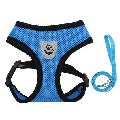 Summer Dog & Cat Harness Set