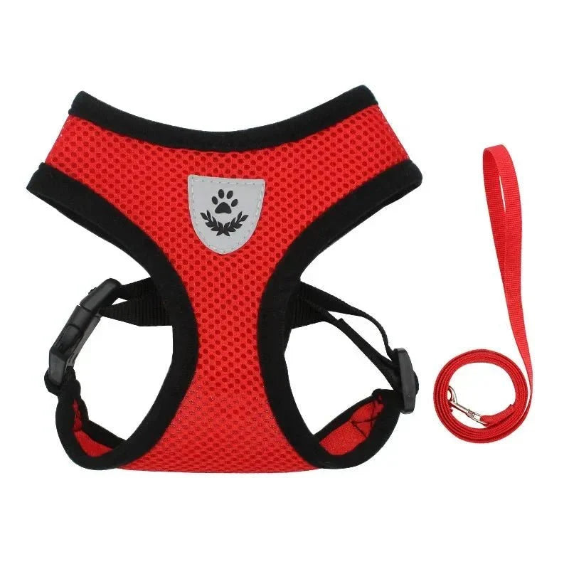 Summer Dog & Cat Harness Set