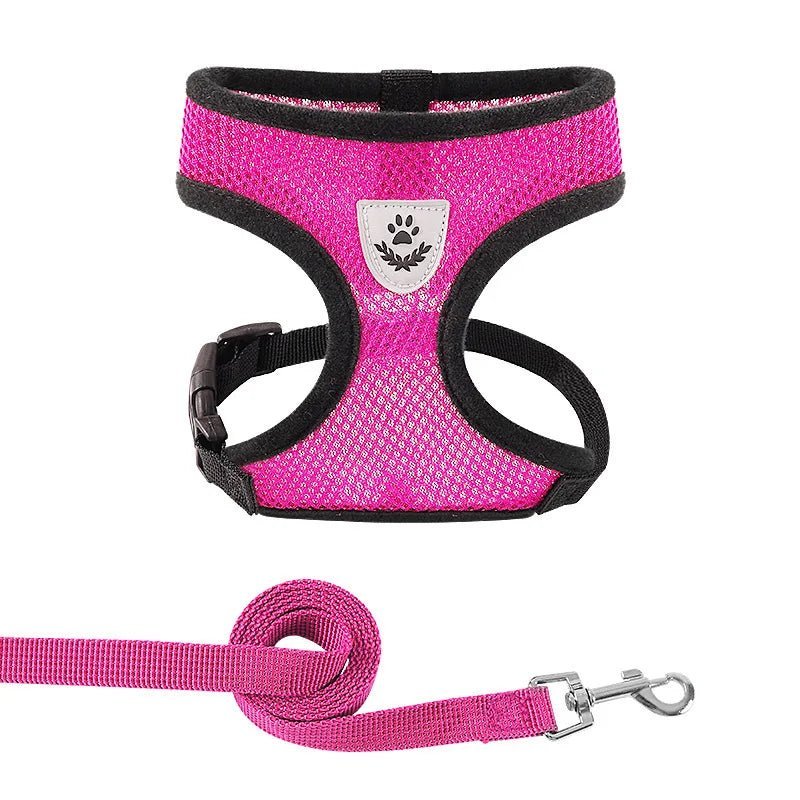 Summer Dog & Cat Harness Set