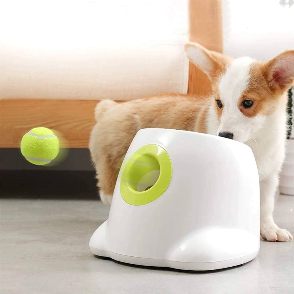 Automatic Tennis Ball Launcher