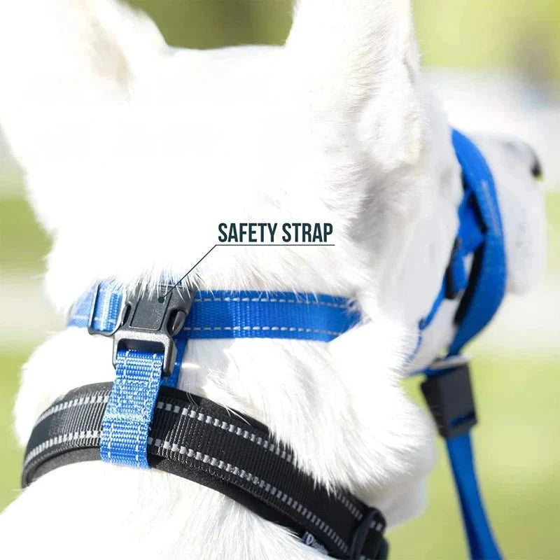 Training Muzzle - Halti Style