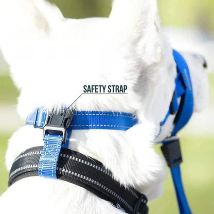 Training Muzzle - Halti Style