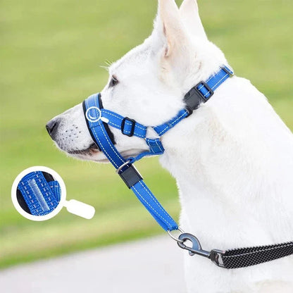 Training Muzzle - Halti Style