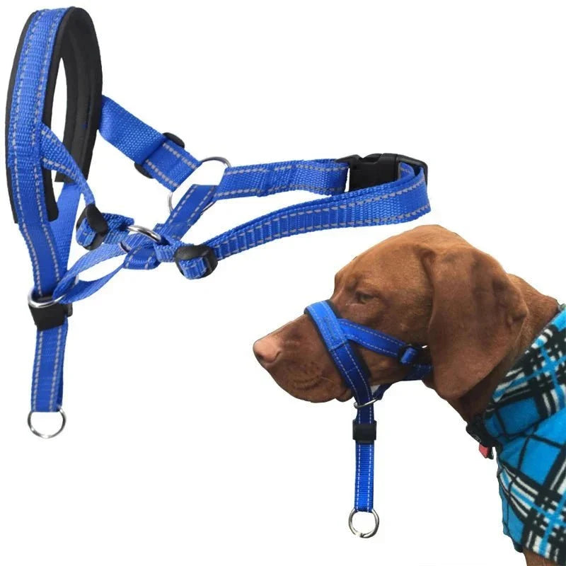 Training Muzzle - Halti Style