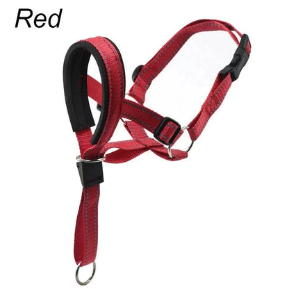 Training Muzzle - Halti Style
