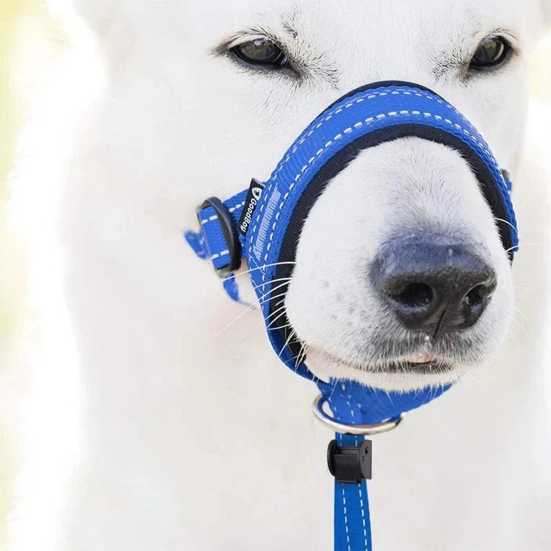 Training Muzzle - Halti Style