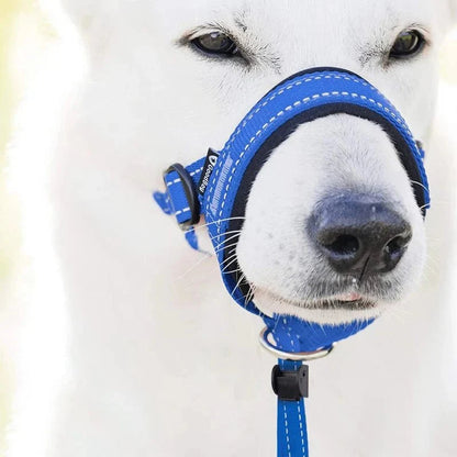 Training Muzzle - Halti Style